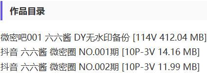 六六酱 – 微密圈等写真&视频合集【持续更新中】